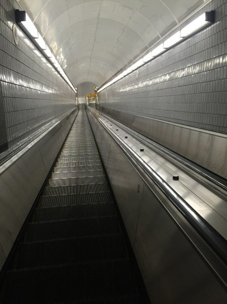 Photo 2017-10-11, 12 06 11 PM