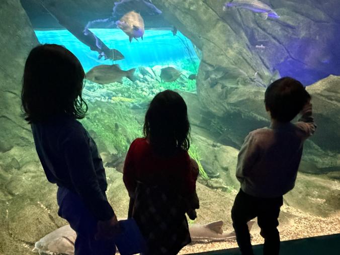 Center the Children: A Manifesto for True&nbsp;Liberation